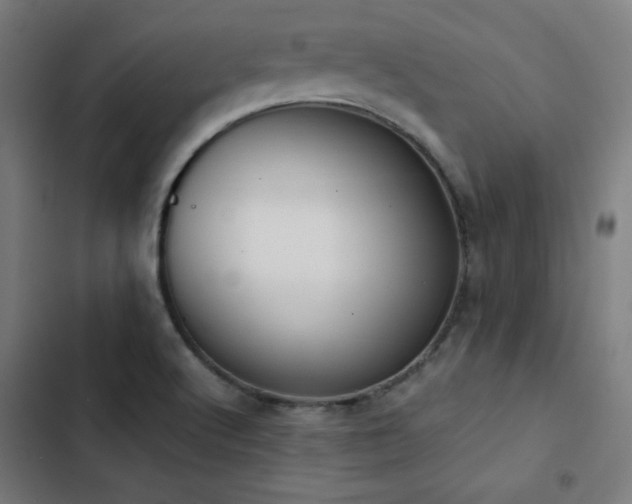 X0000103411512200809121253