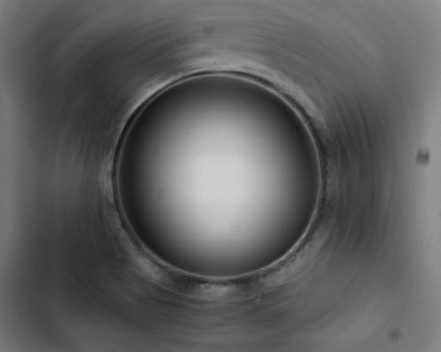 X0000103411513200809121253