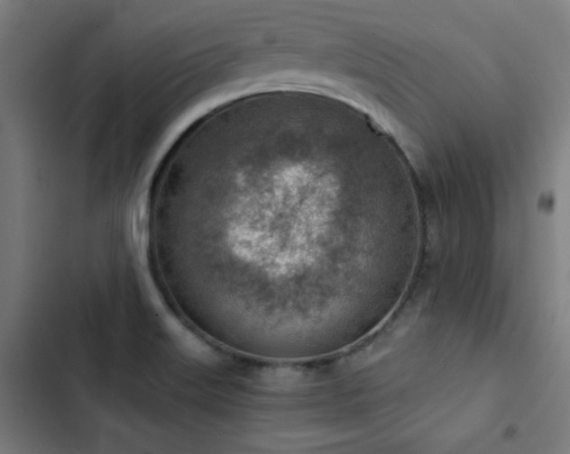 X0000103411515200809121253