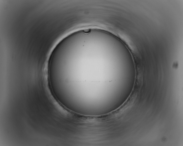X0000103411516200809121253