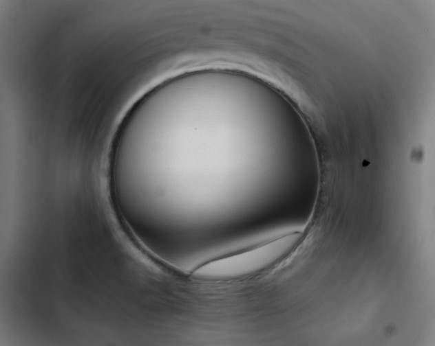 X0000103411518200809121253