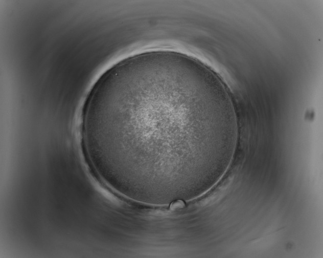 X0000103411519200809121253