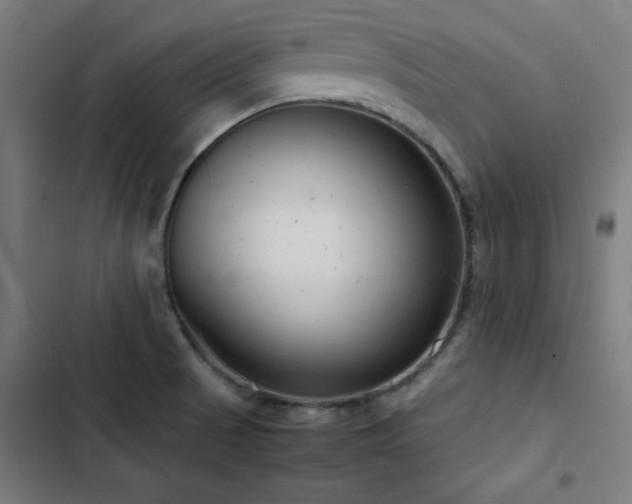 X0000103411521200809121253