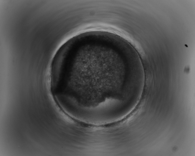 X0000103411522200809121254