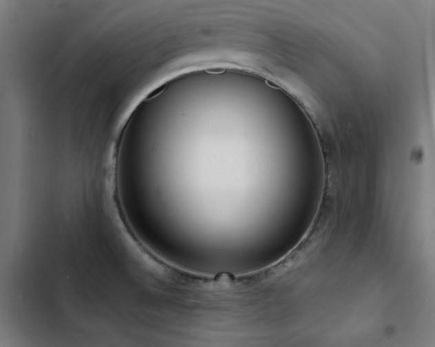 X0000103411524200809121254