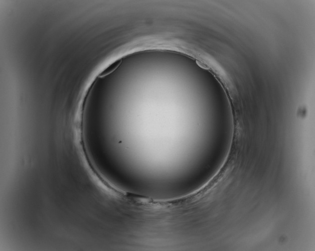 X0000103411528200809121254
