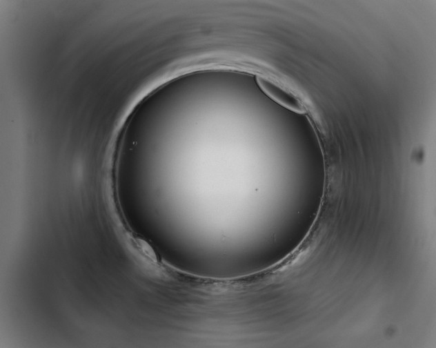 X0000103411530200809121254