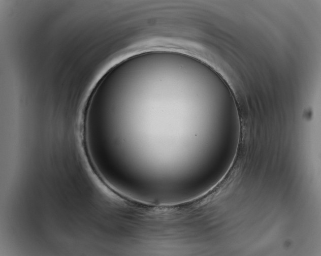 X0000103411531200809121254