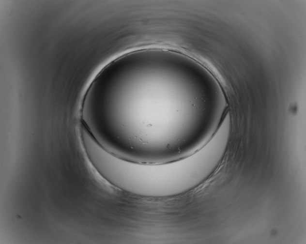 X0000103411532200809121254