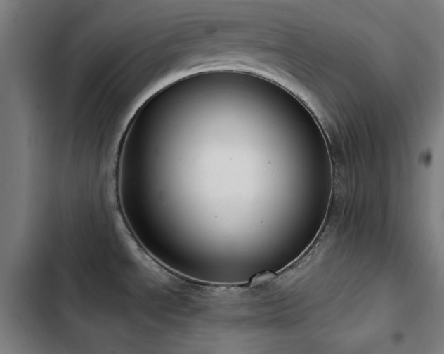 X0000103411534200809121254