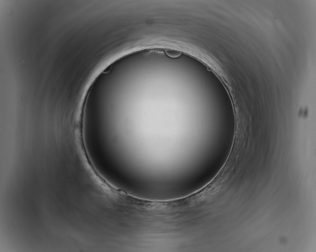 X0000103411536200809121254
