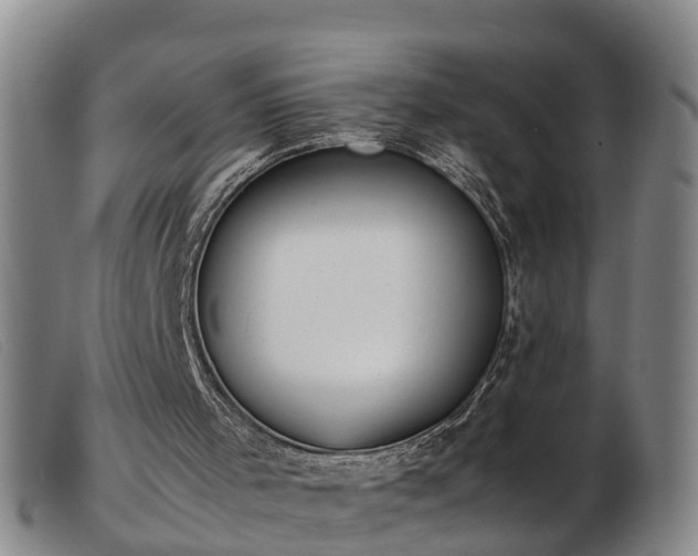 X0000103410001200809191556