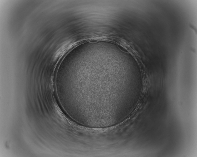 X0000103410002200809191556