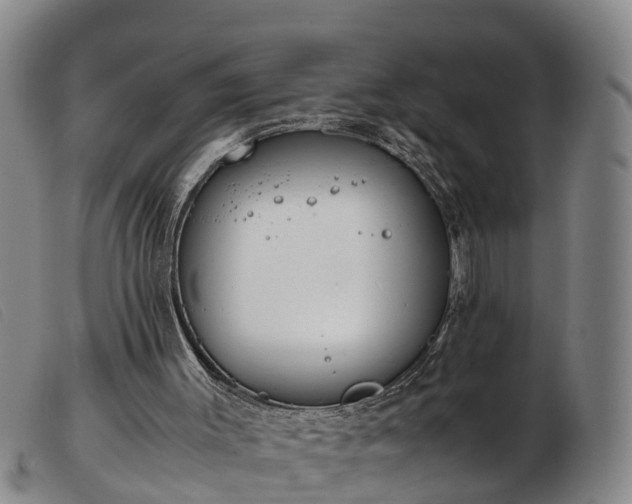 X0000103410003200809191556