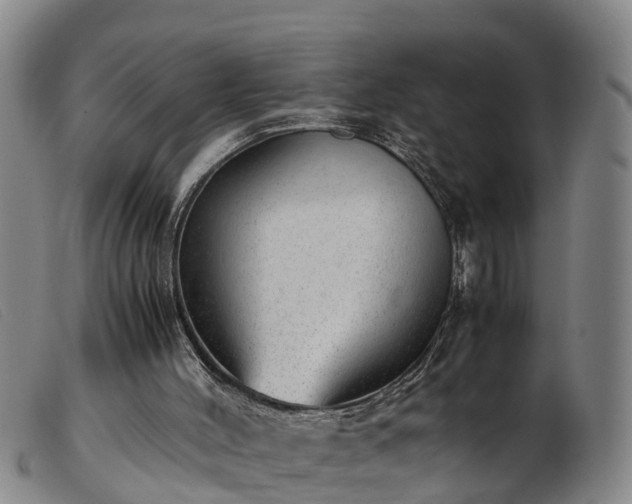 X0000103410004200809191556