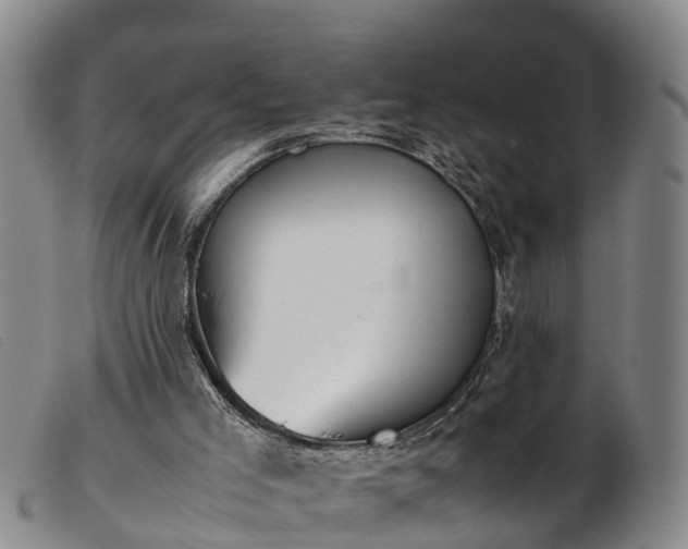 X0000103410005200809191556