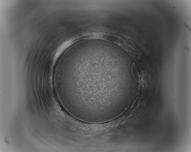 X0000103410006200809191556