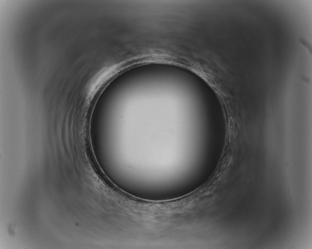 X0000103410007200809191556