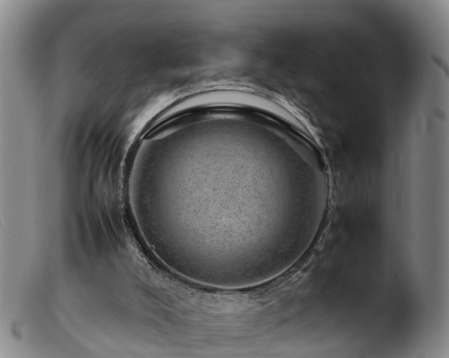 X0000103410008200809191556