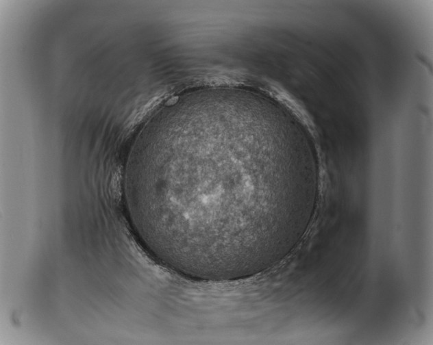 X0000103410009200809191556