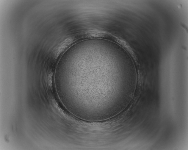 X0000103410010200809191556