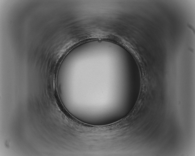 X0000103410011200809191556