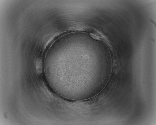 X0000103410012200809191556