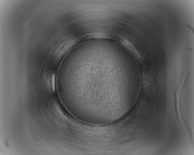 X0000103410014200809191556