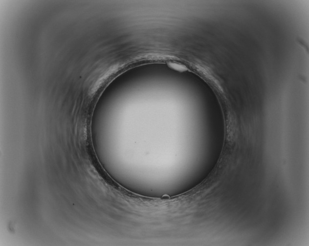 X0000103410015200809191556