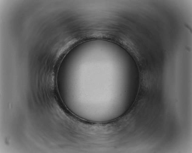 X0000103410016200809191556