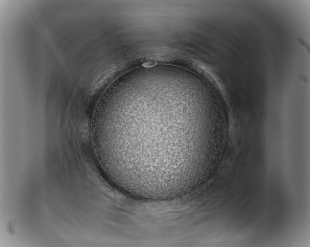 X0000103410017200809191556