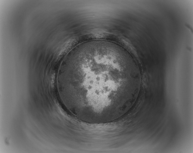 X0000103410018200809191556