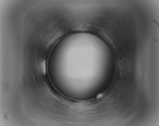 X0000103410020200809191556