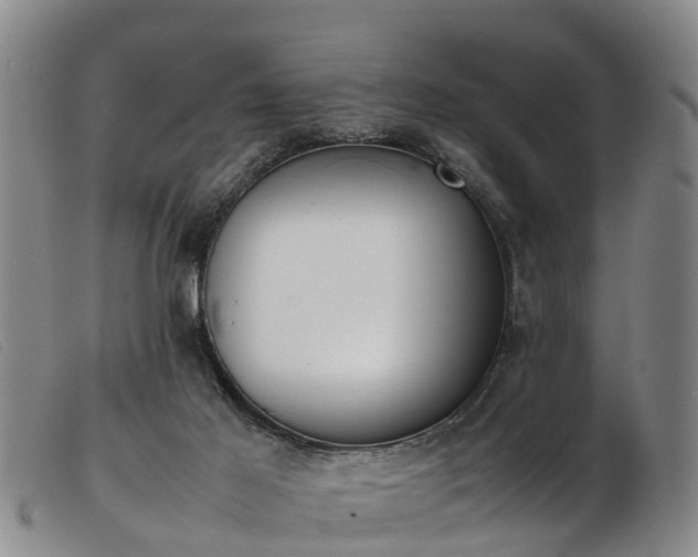 X0000103410021200809191556