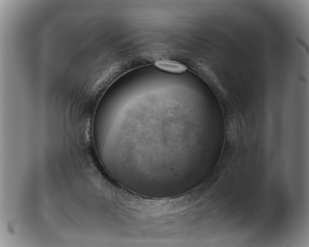 X0000103410023200809191556