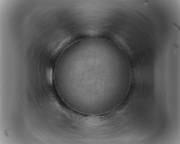 X0000103410024200809191556