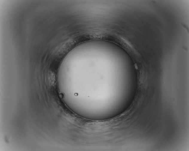 X0000103410025200809191556