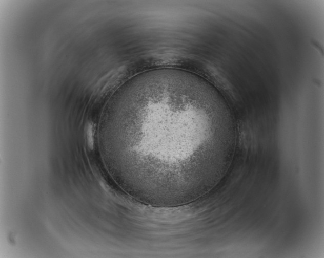 X0000103410026200809191556