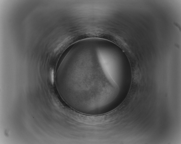 X0000103410027200809191556