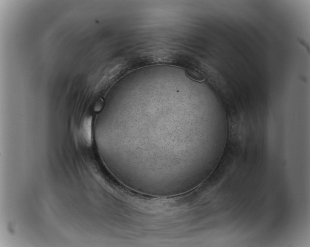 X0000103410028200809191556