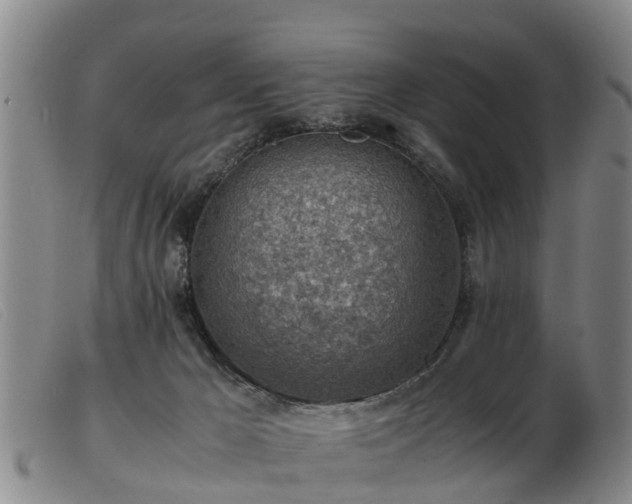 X0000103410029200809191556