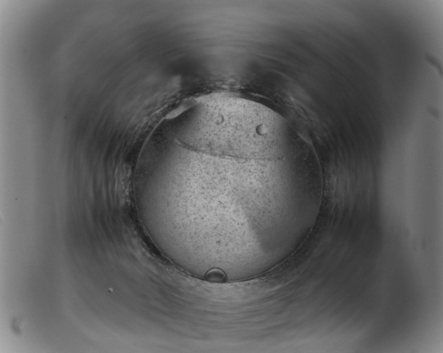 X0000103410030200809191556