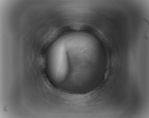 X0000103410031200809191556