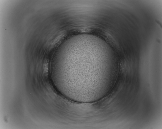 X0000103410032200809191556