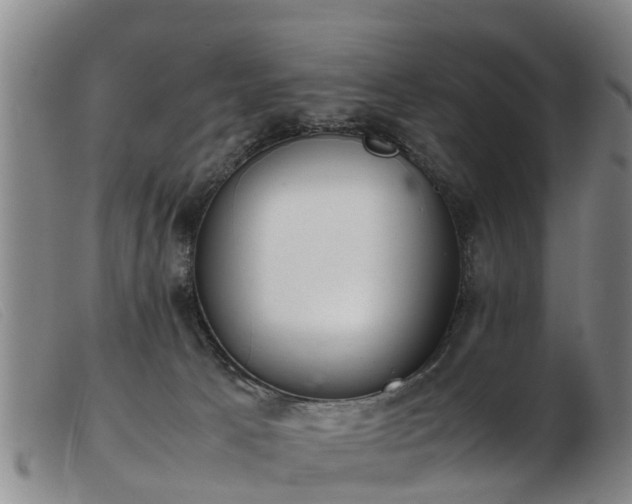 X0000103410033200809191556