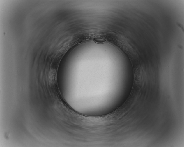 X0000103410034200809191556