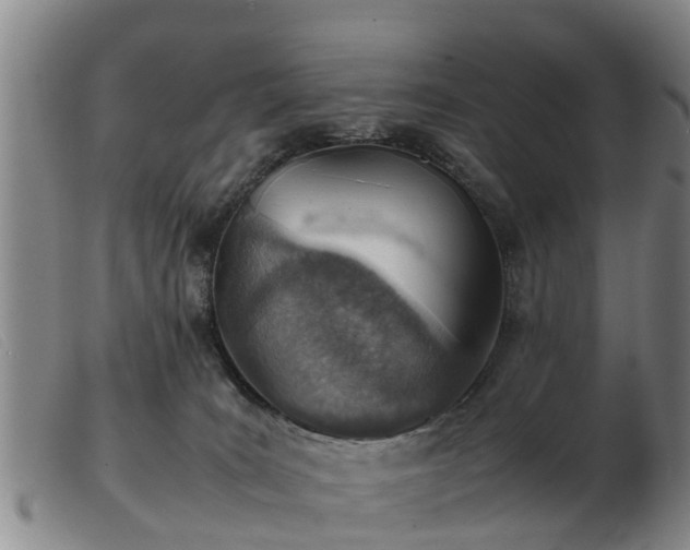 X0000103410035200809191556