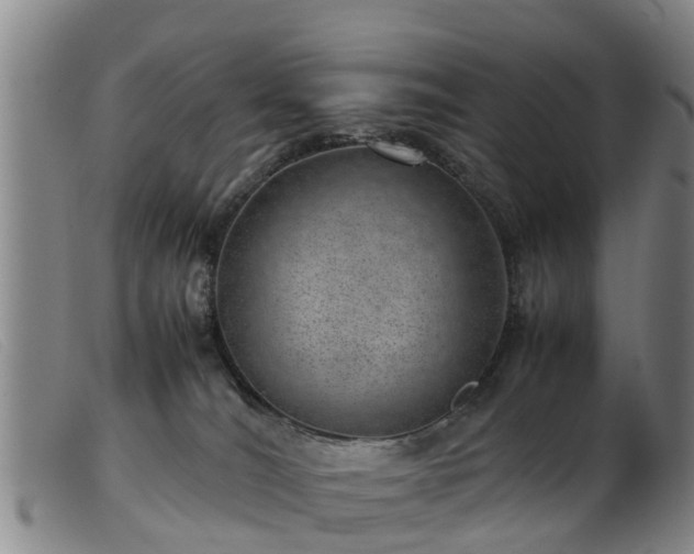 X0000103410036200809191556