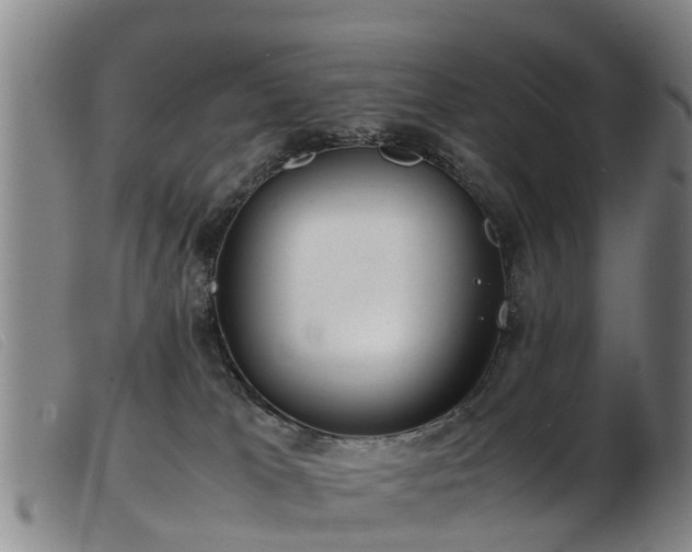 X0000103410037200809191556