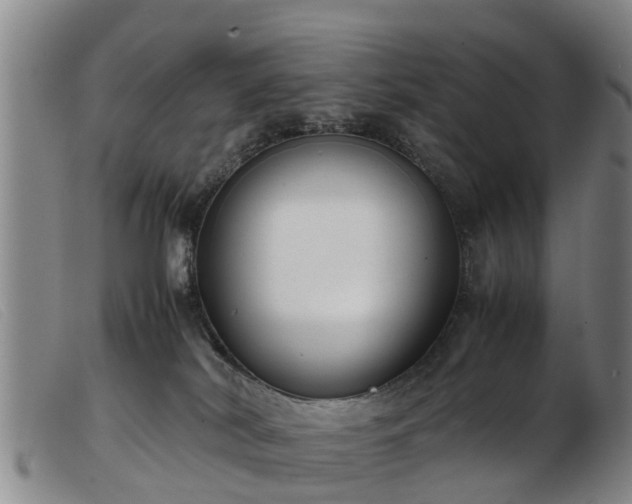 X0000103410038200809191556